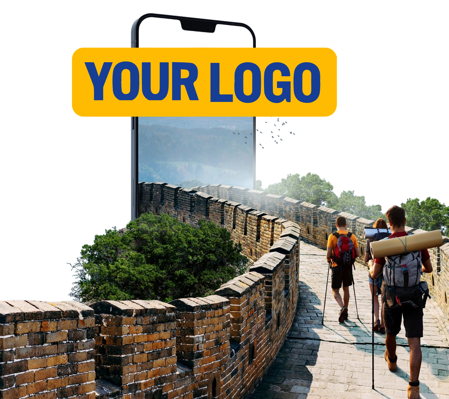 Paco Travel Hub